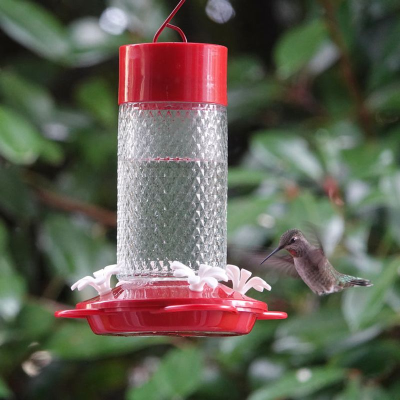 Red nectar is not a proven bird repellent Red nectar is not a proven bird repellent