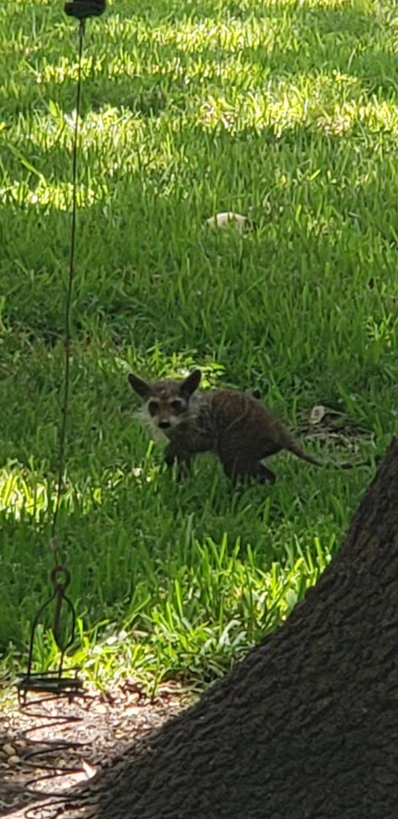 Reduce attractants after the kit moves on