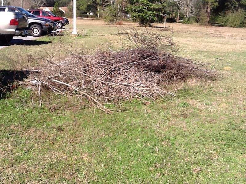 Reduce shelter and attractants beside the house