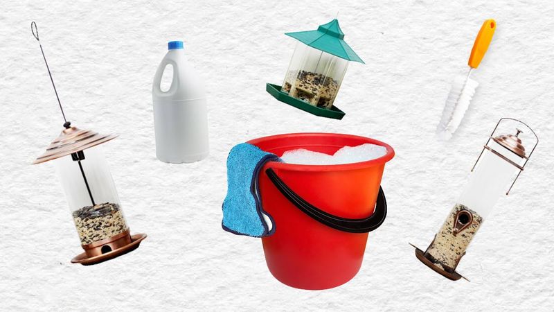 Reduce specific risks from pesticides, cats, and dirty bird equipment Reduce specific risks from pesticides, cats, and dirty bird equipment