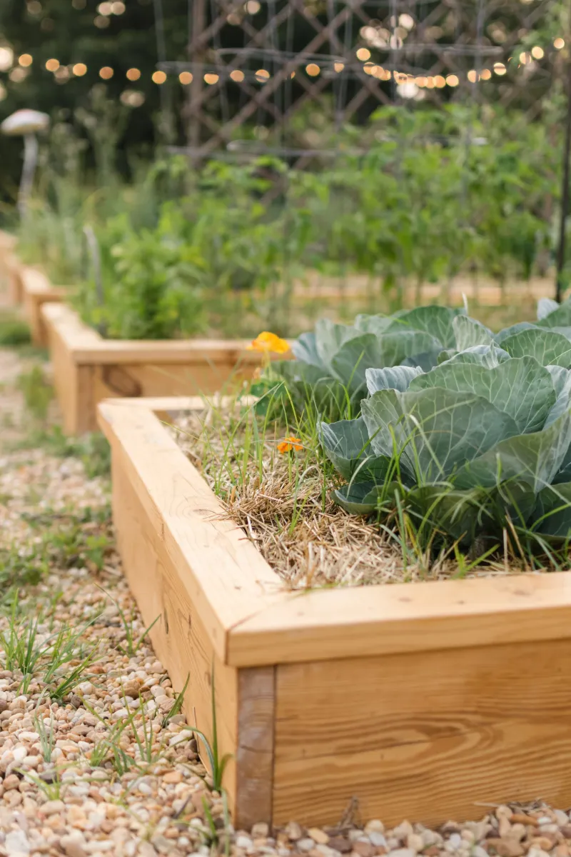 Reduce the next crop's risk with a simple routine