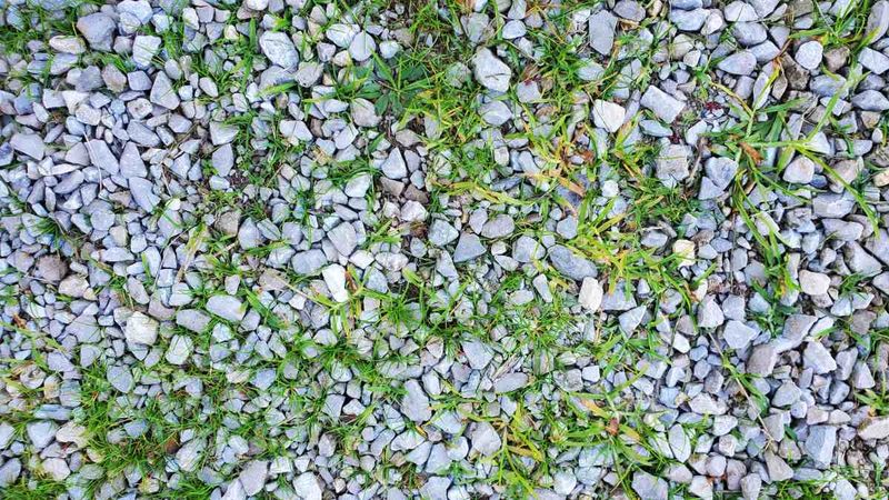 Reject shortcuts that can damage the surrounding yard