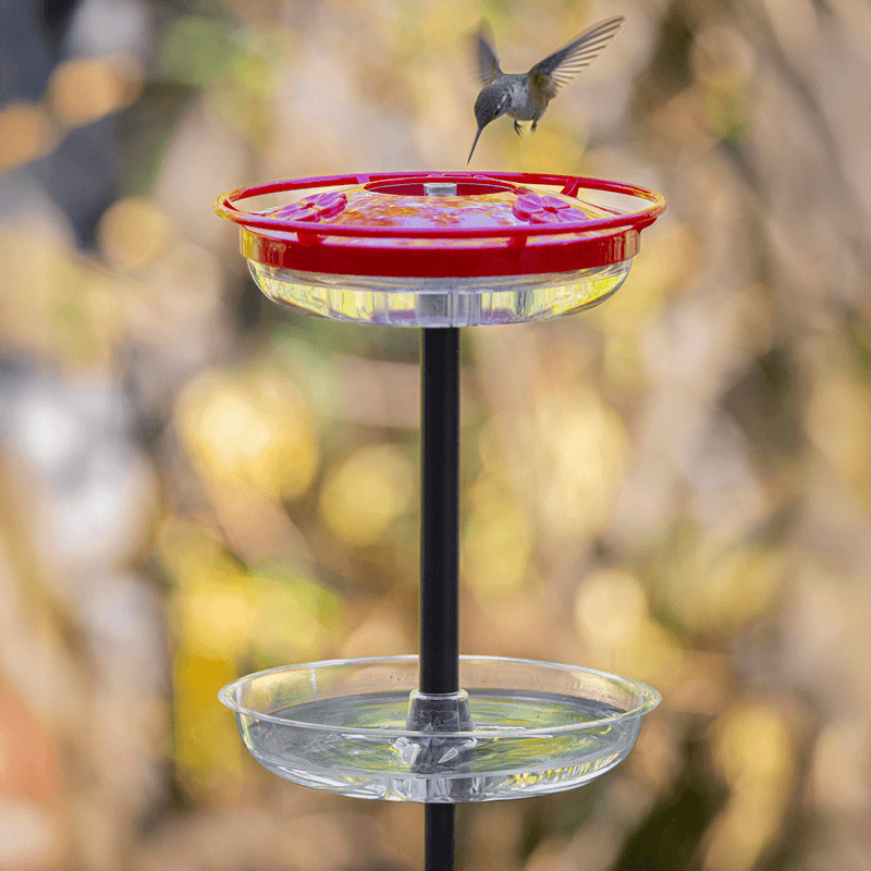 Remove insect pressure and territorial bottlenecks