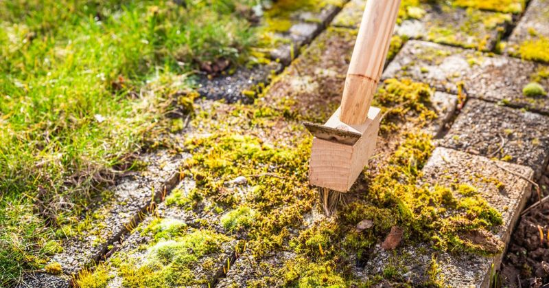 Repeat the inspection, not a miracle claim