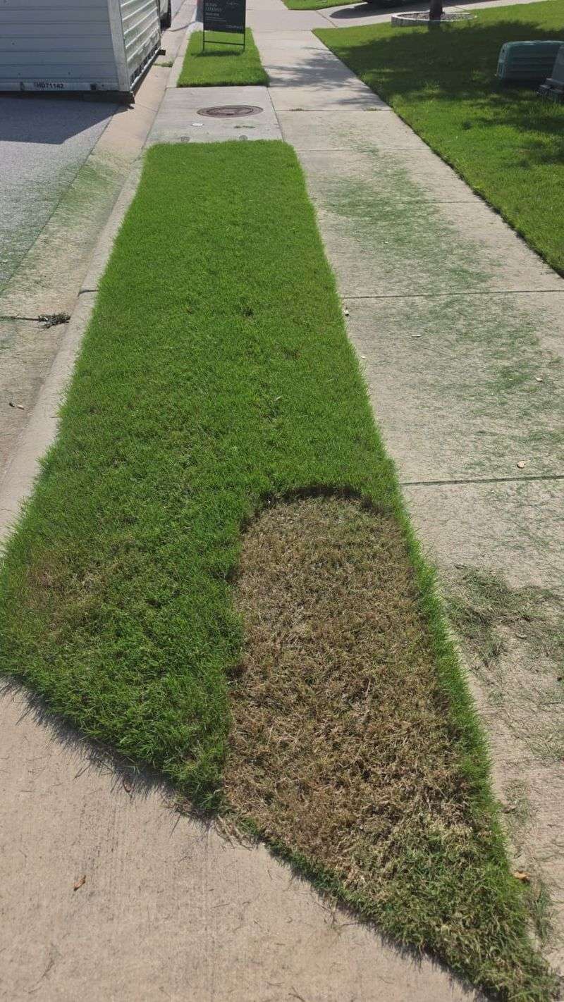 Repeated low mowing can reduce turf strength