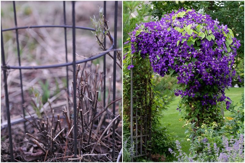 Reserve hard pruning for Group 3 types