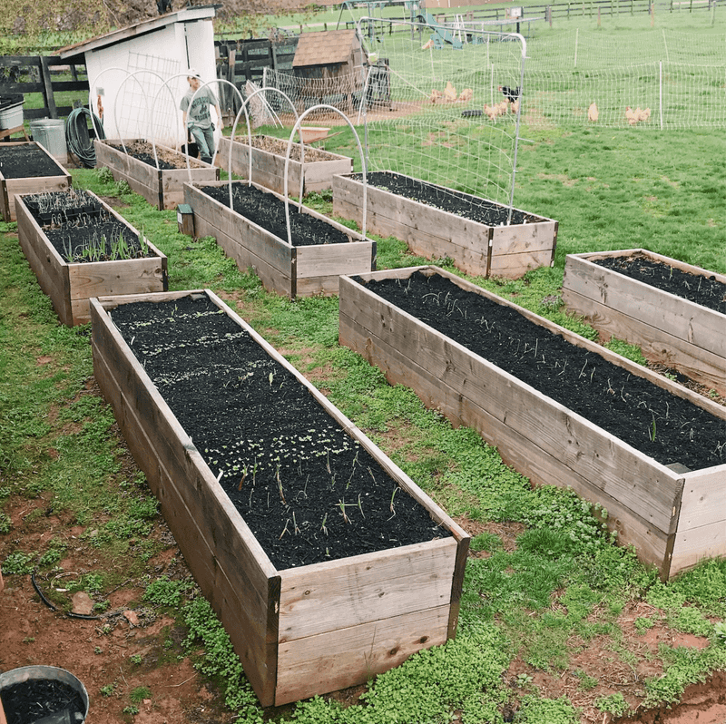 Reset the bed before you sow again