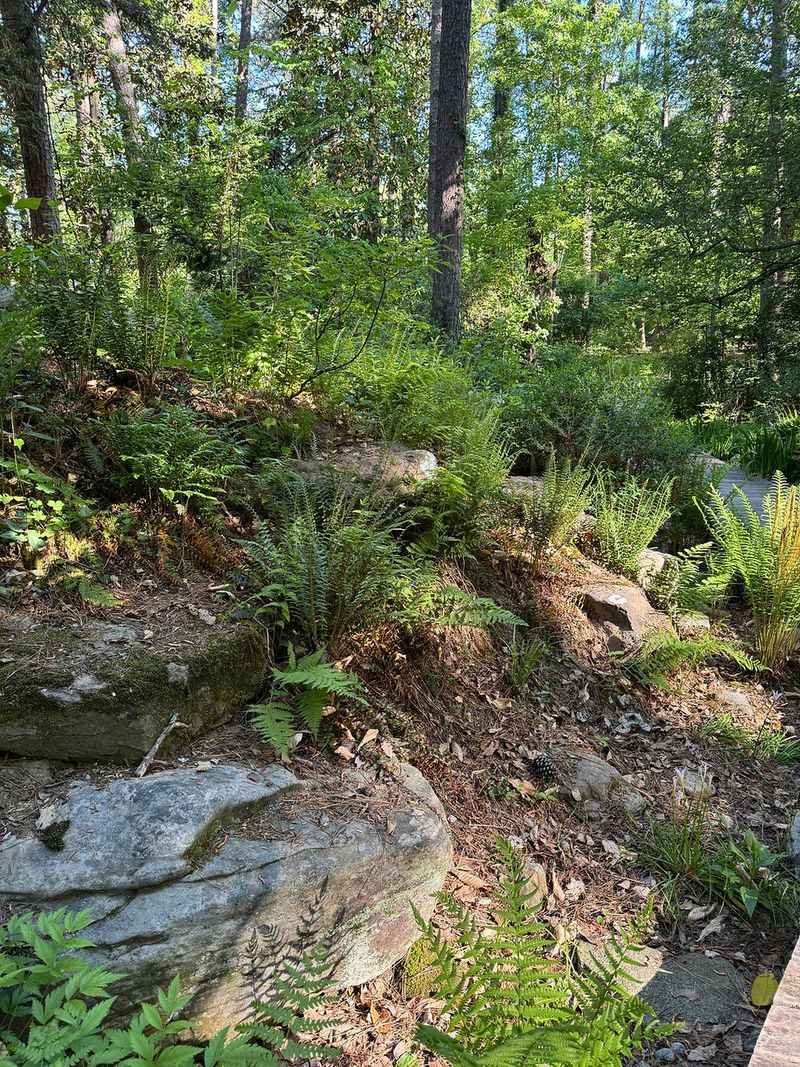 Restore Habitat Structure Before Adding Products Restore Habitat Structure Before Adding Products