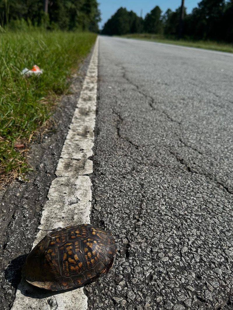 Road Crossings Require One Specific Kind of Help