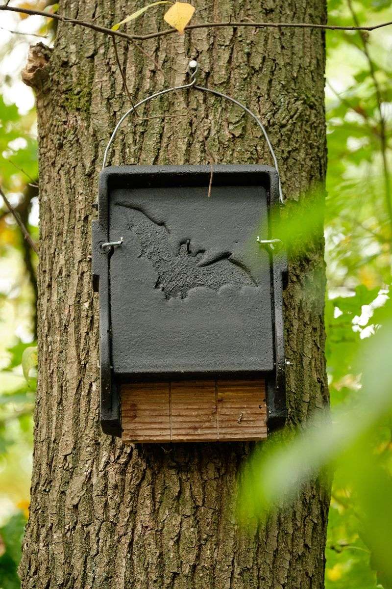 Roosting options away from busy doors