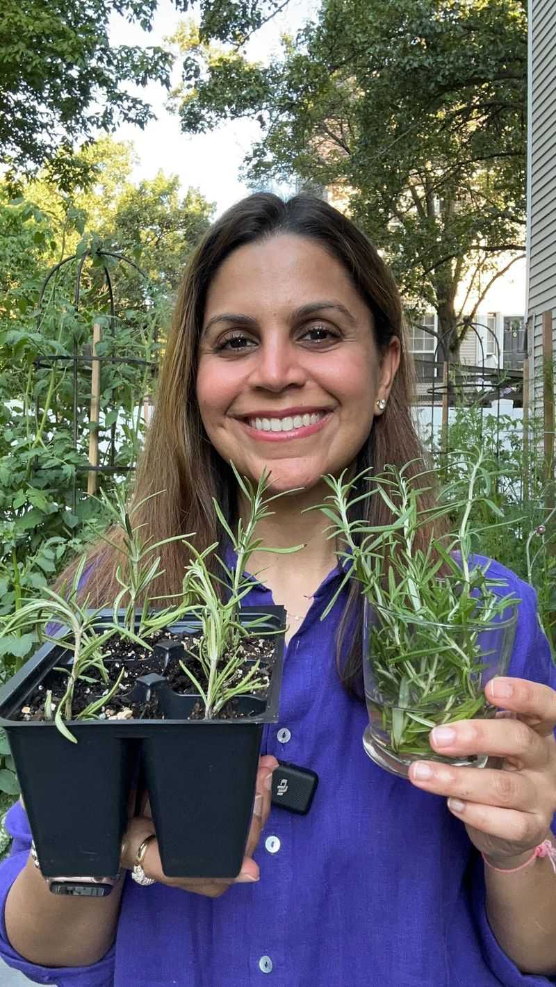 Rooting in Soil Versus Water