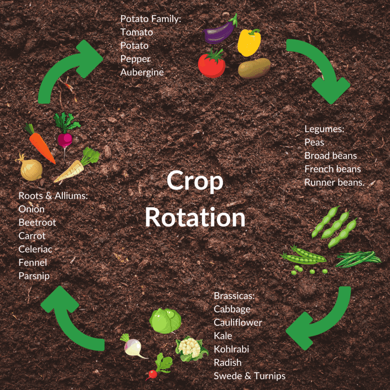 Rotate families after pest or disease trouble Rotate families after pest or disease trouble