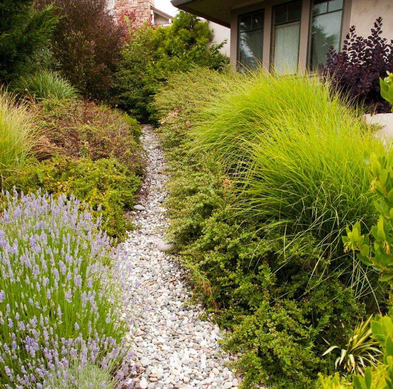 Sacramento Regional Water Authority River-Friendly Landscape Rebate