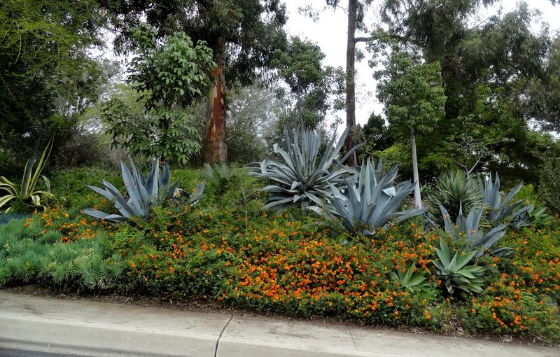 San Diego Botanic Garden, Encinitas