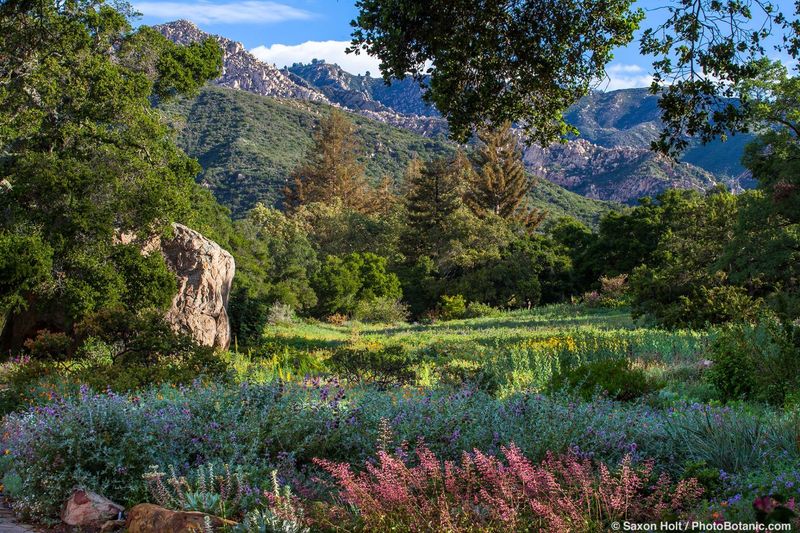 Santa Barbara Botanic Garden