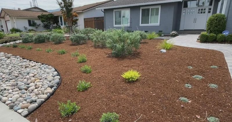 Santa Clara Valley Water District Landscape Rebate Program