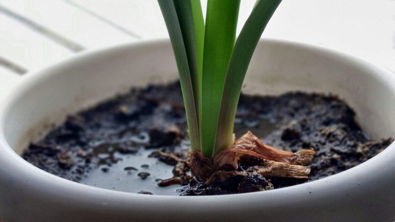 Saturated Soil Changes the Problem