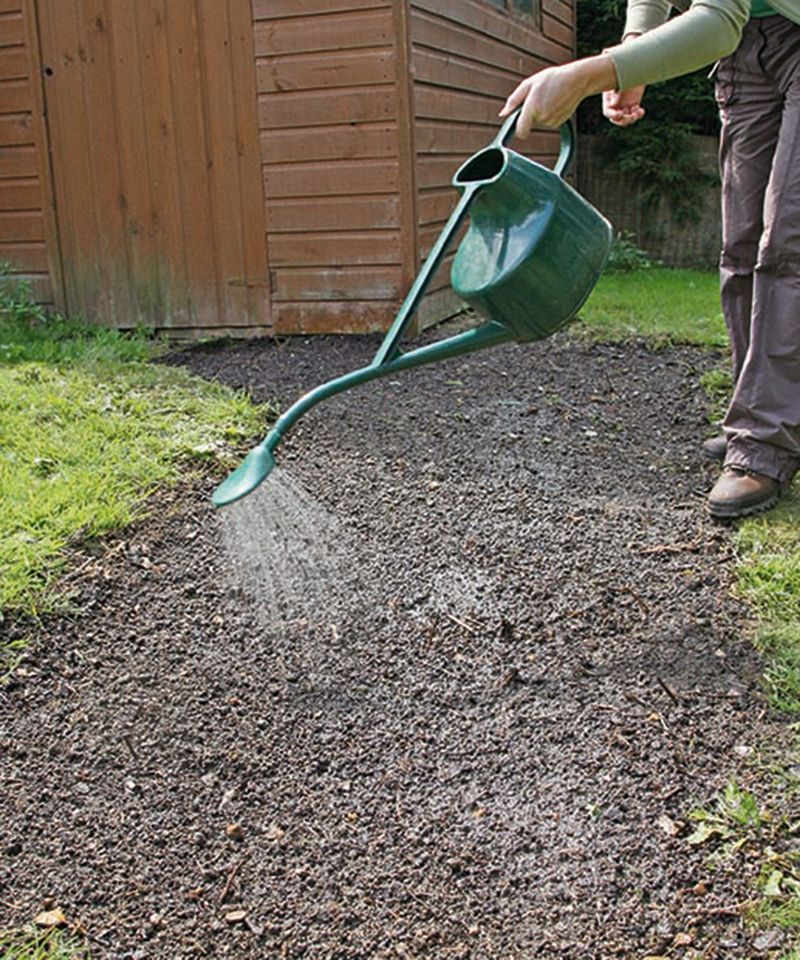Seed only when the grass and season fit