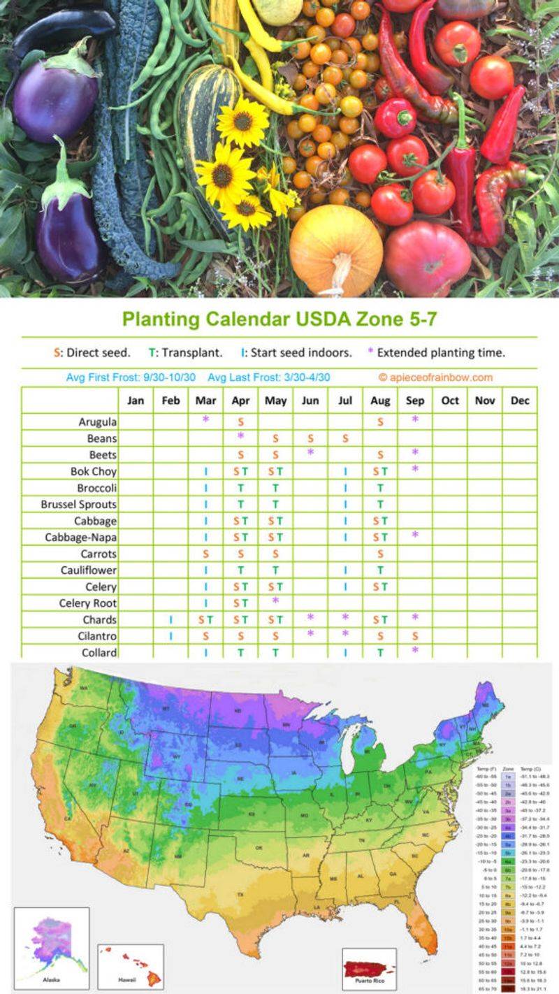 Set regional dates for cooler head development