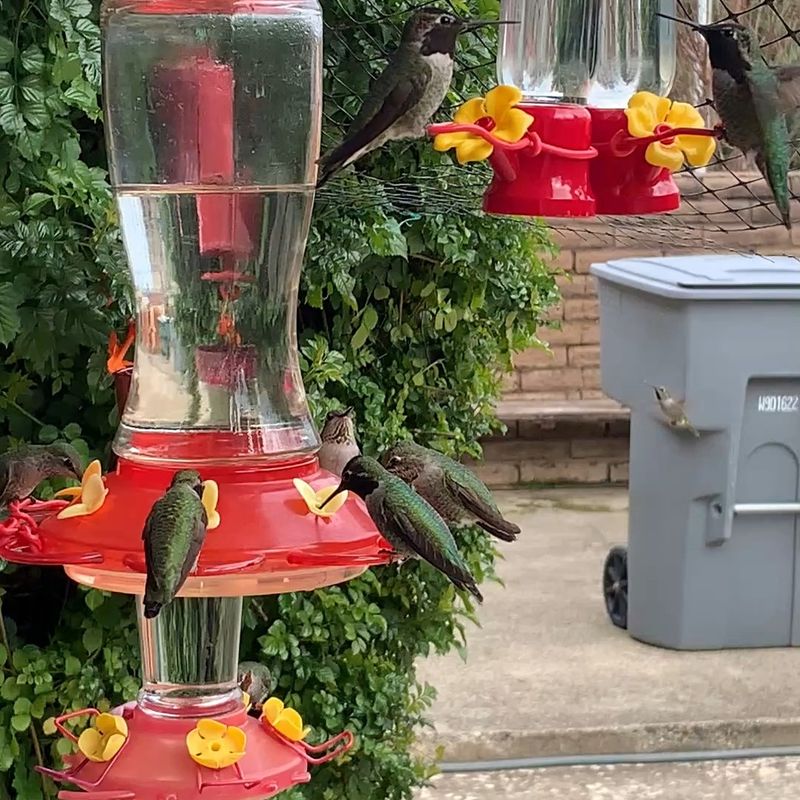 Several Smaller Feeders Can Spread Out Access