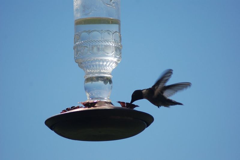 Several feeder problems can create a drip