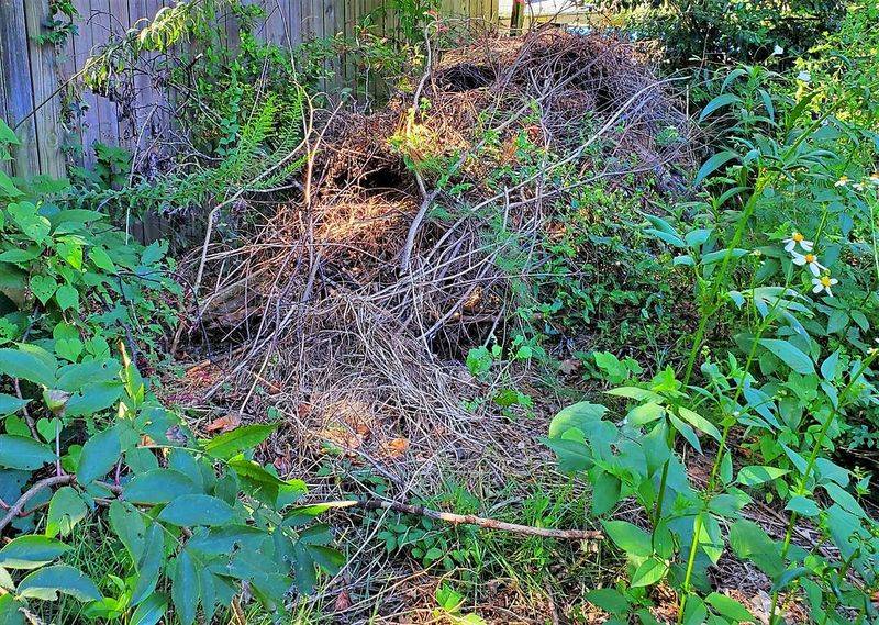 Shelter and water features explain where encounters may happen