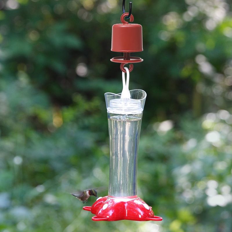 Skip the risky shortcuts around the feeder