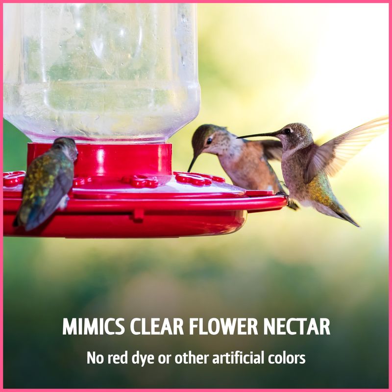 Skipping Any Coloring and Letting the Feeder Do the Work