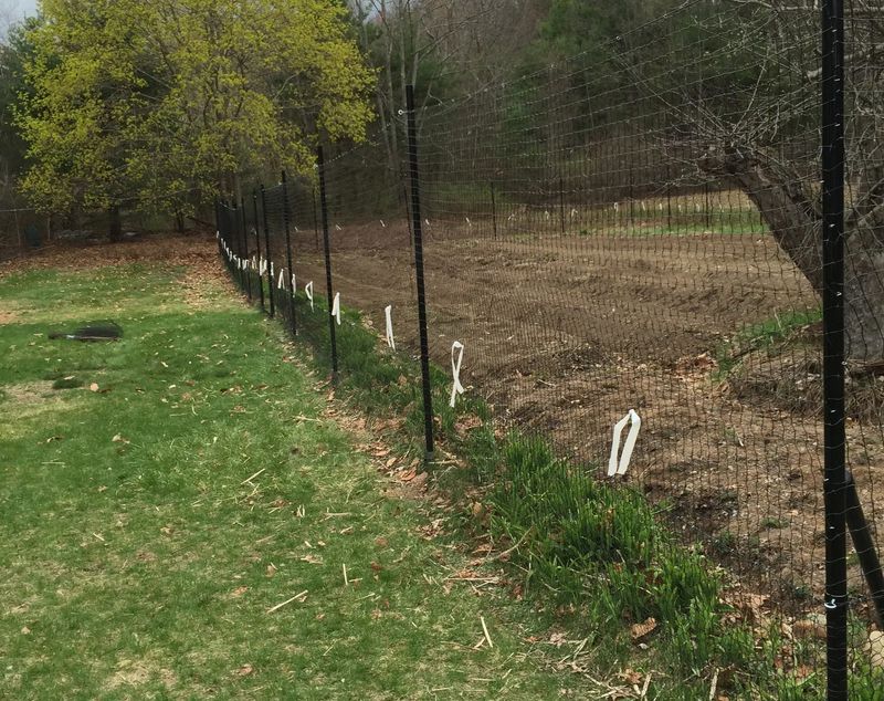 Small beds can be protected more easily than whole lawns