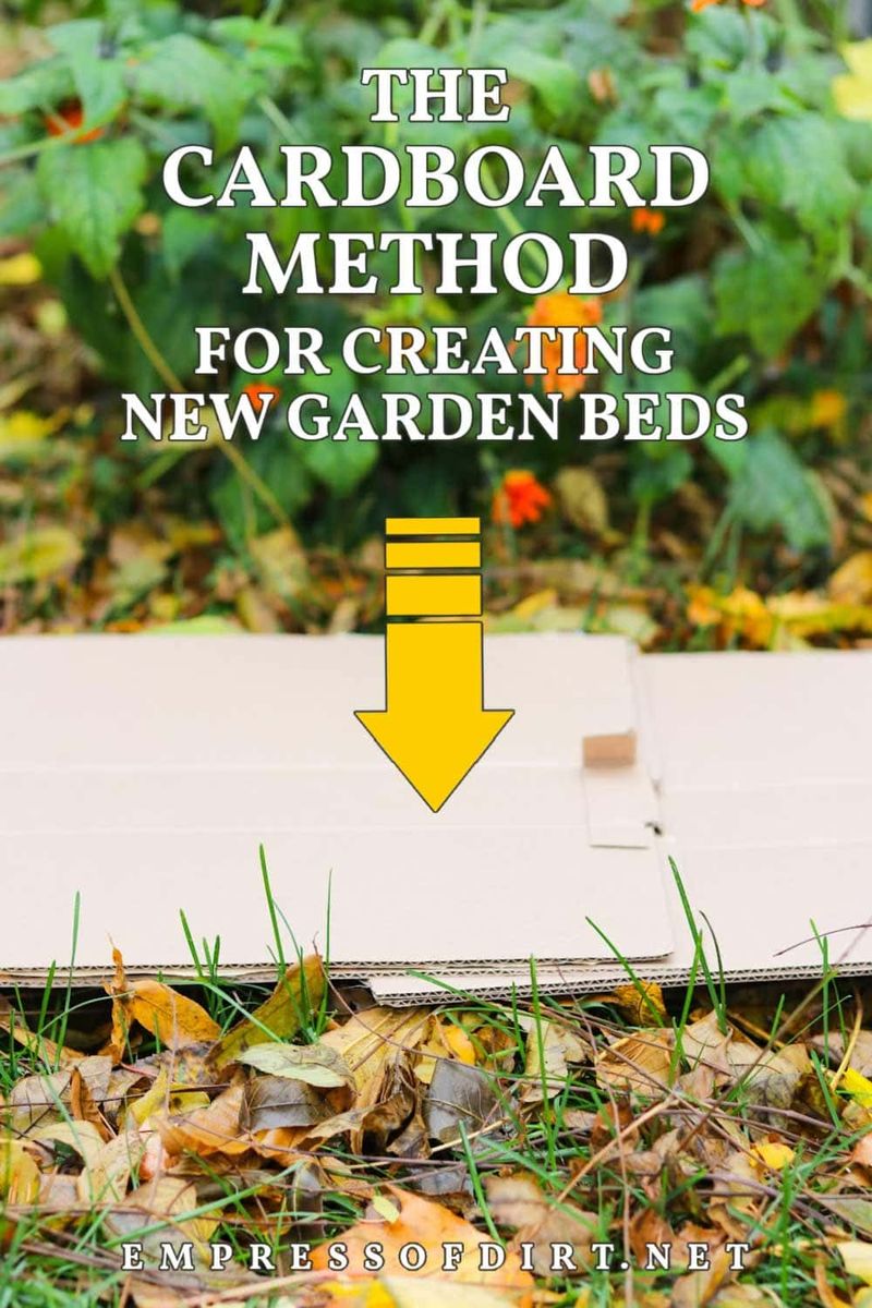 Smother It With Cardboard and Mulch Smother It With Cardboard and Mulch