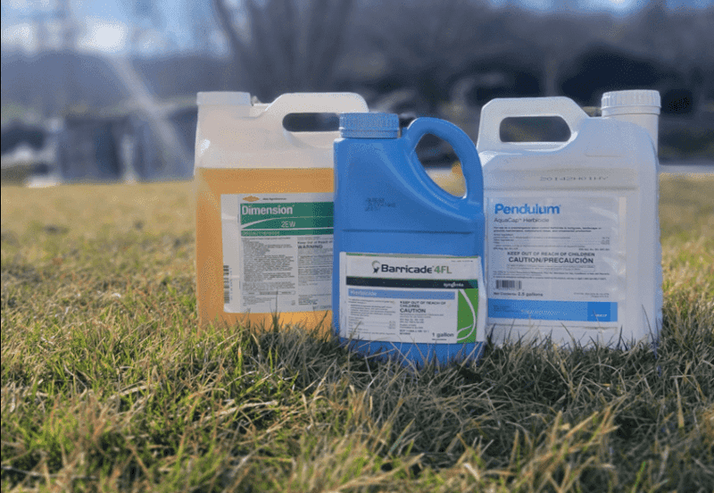 Some lawn-care fixes can sabotage new seed