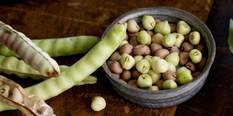 Southern Peas (Field Peas)