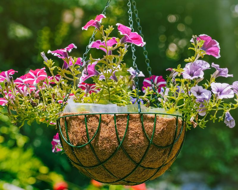 Southern heat makes small baskets dry quickly