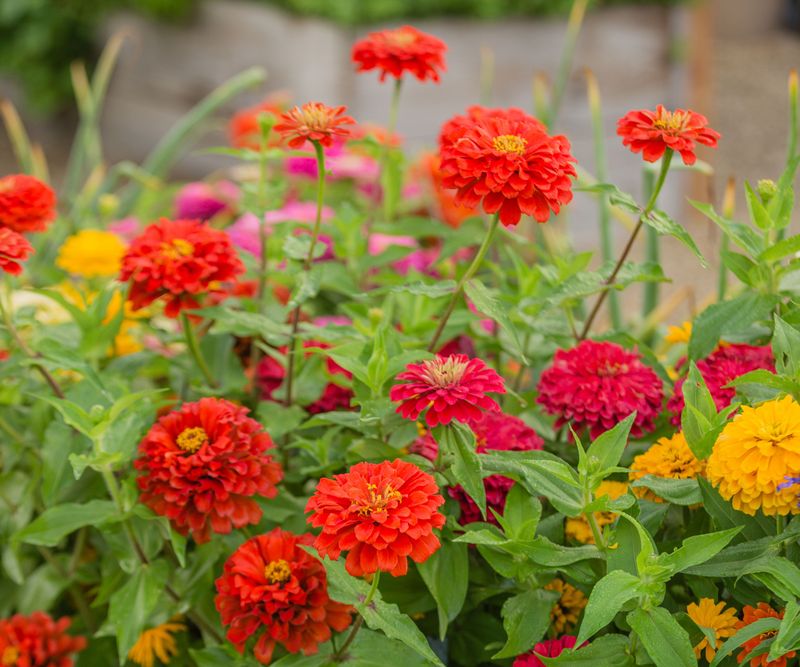 Spring is safer when the forecast is already turning cool