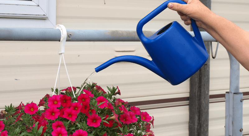 Stabilize a stressed plant before pruning it hard Stabilize a stressed plant before pruning it hard