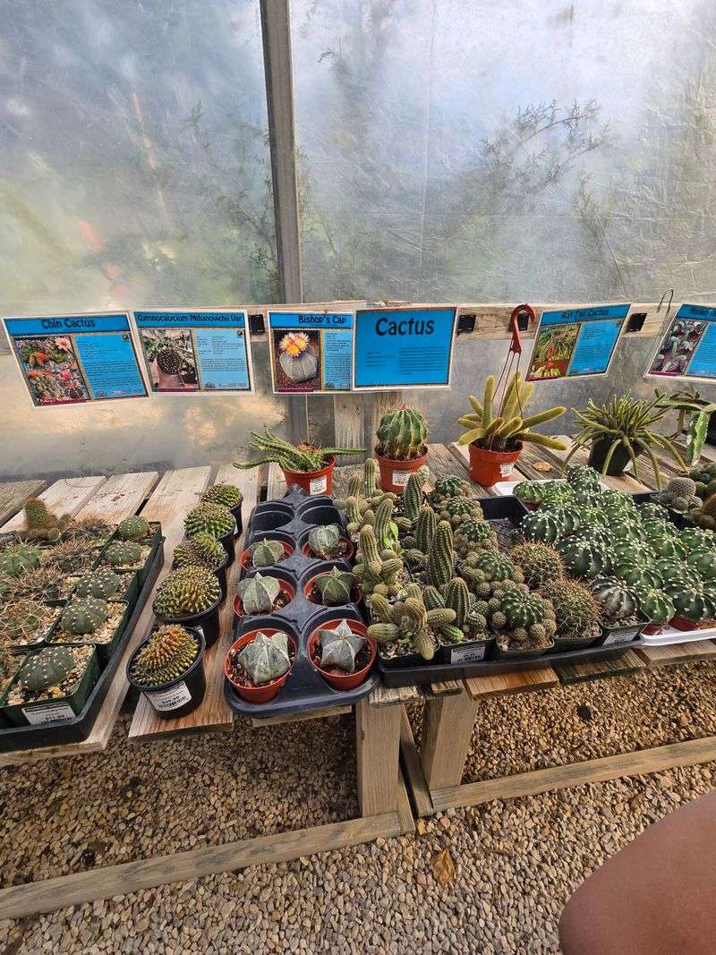 Staff Who Actually Know Their Plants