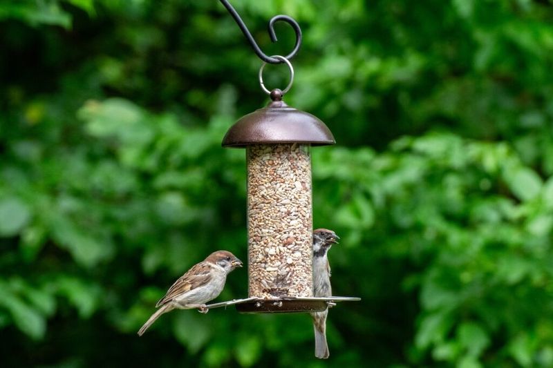 Start with the feeder, then manage the whole problem