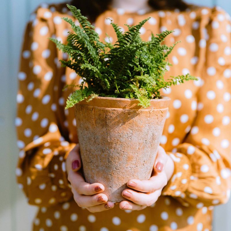 Start with the pot: check moisture and roots first