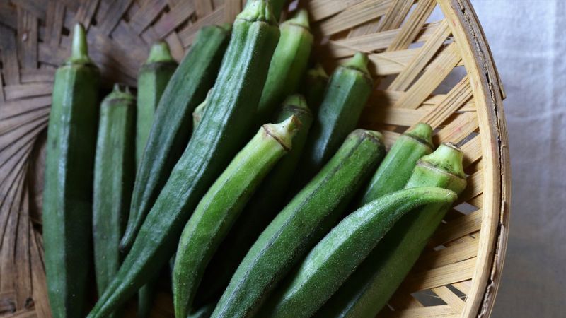 Store picked pods carefully after harvest