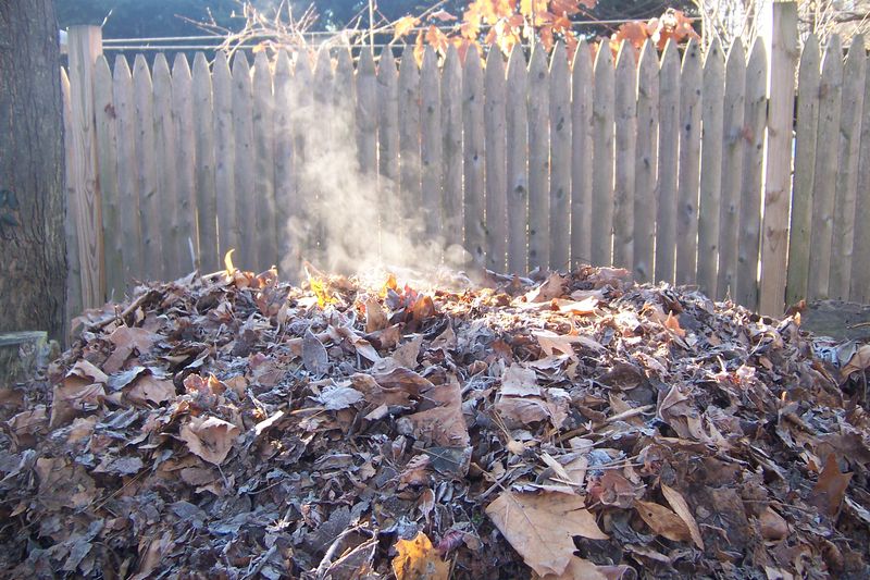 Storm Debris and Leaf Piles Left in Bed Corners