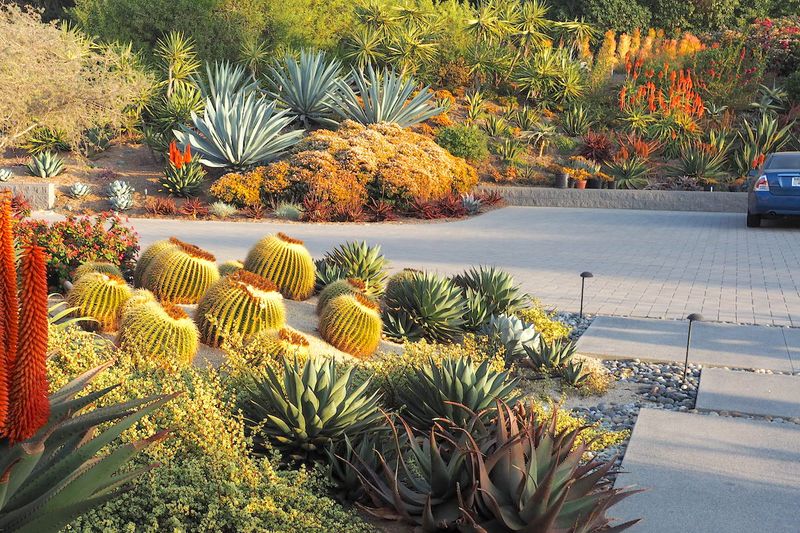 Succulent ribbons with open spacing