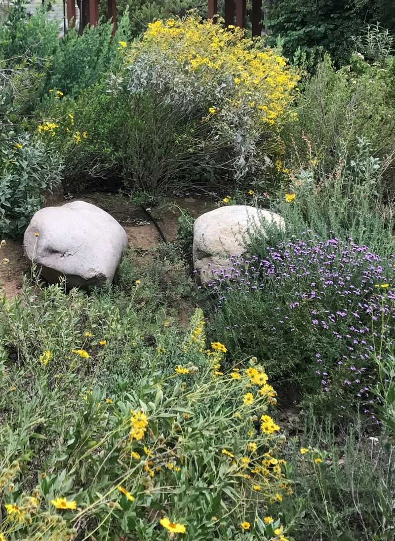Support the habitat, then judge success by plant damage