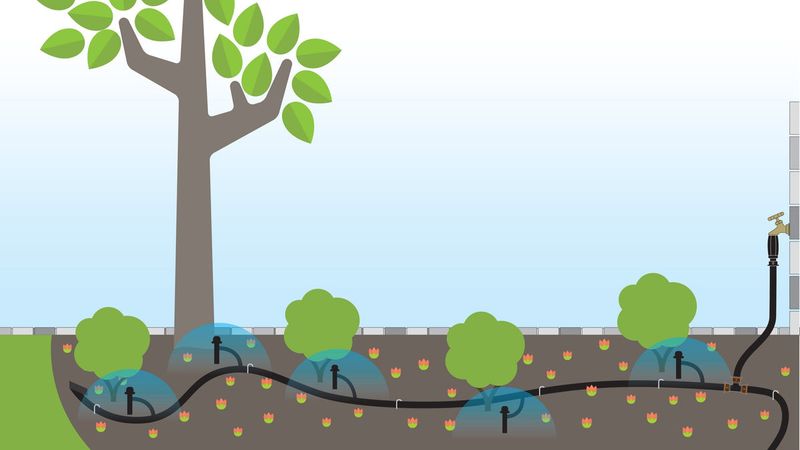 Target the active root zone