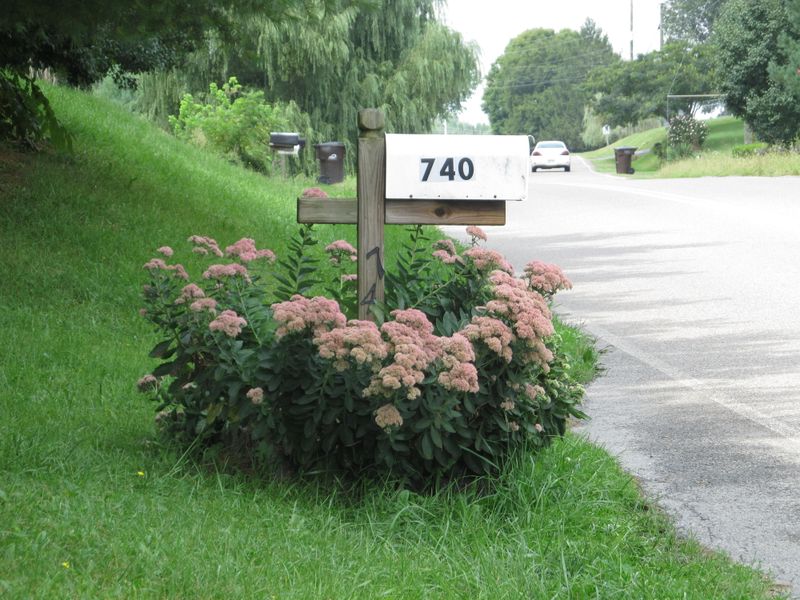 Test the Mailbox Site Before You Buy the Plants Test the Mailbox Site Before You Buy the Plants
