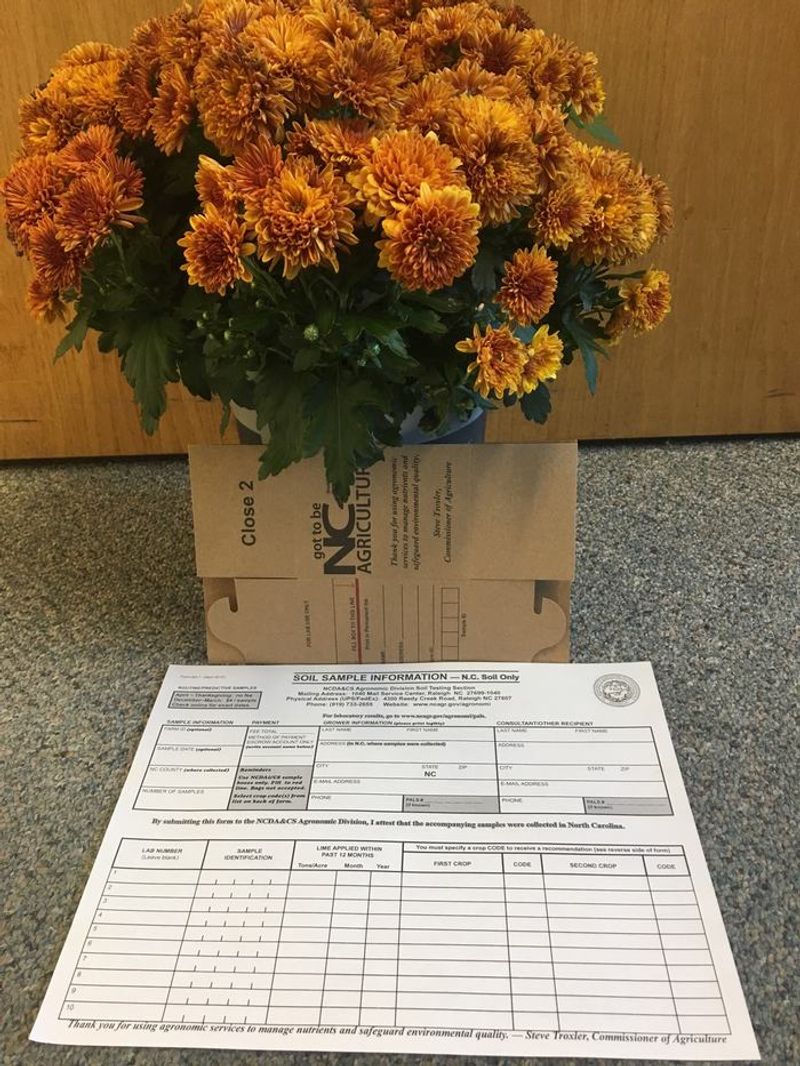 Test the Site Before You Choose the Plant