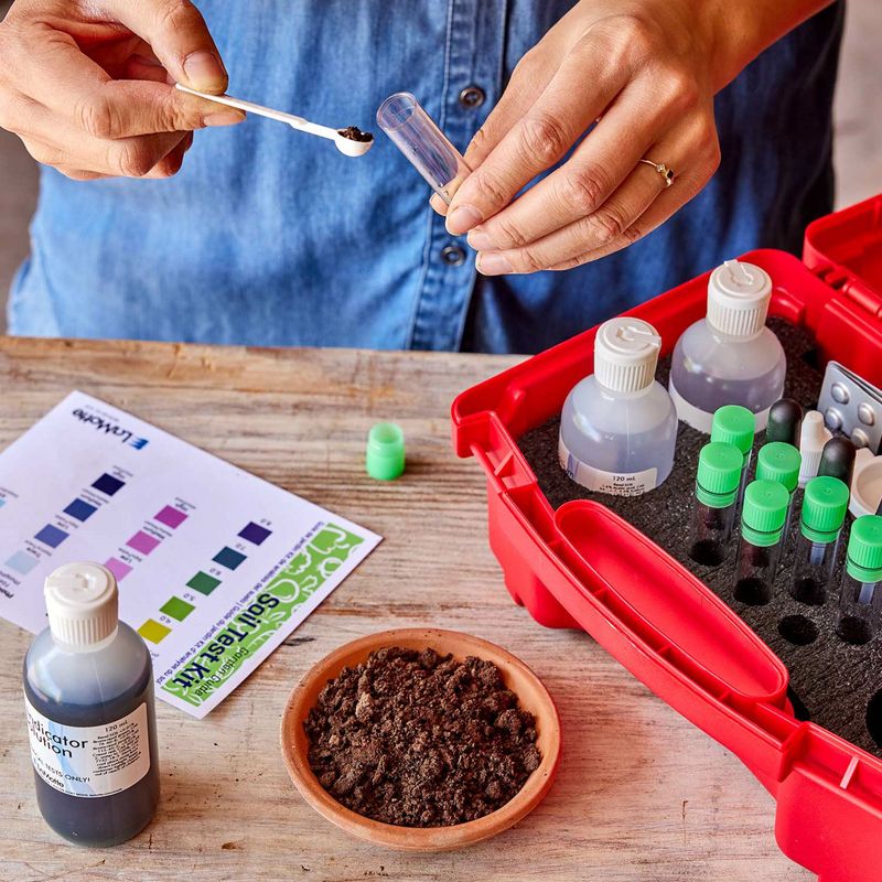 Test the Soil Before Adding Potassium
