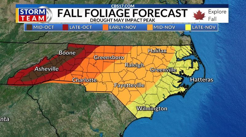 The 2026 forecast points to uneven pockets, not a failed fall-color route