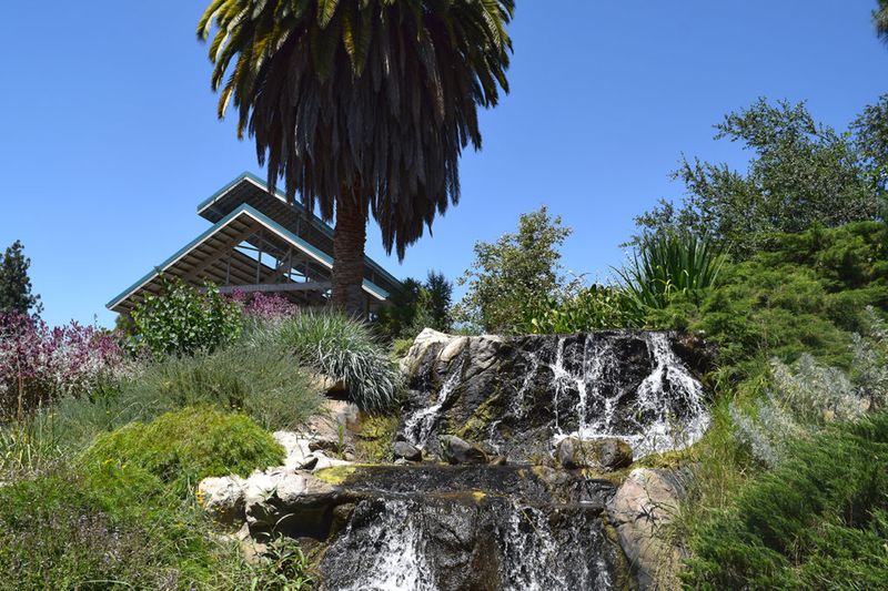 The Fullerton Arboretum