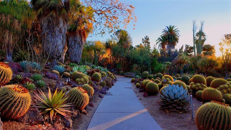 The Huntington Botanical Gardens