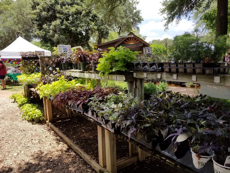 The Koi Pond and Pollinator-Friendly Paths